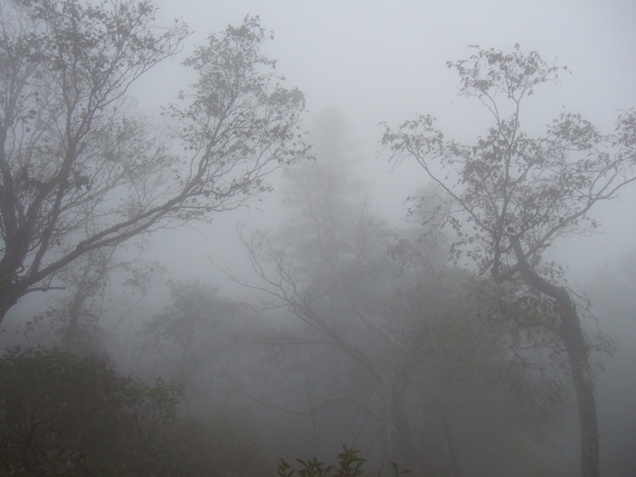 DSCF5622.JPG
