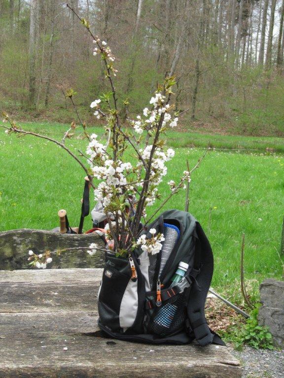 schweiz wanderung (4).jpg