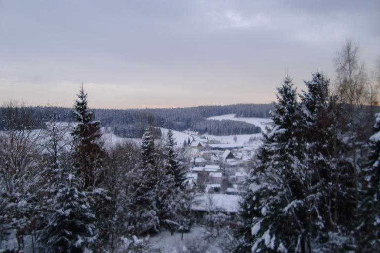 DSC04994.JPG