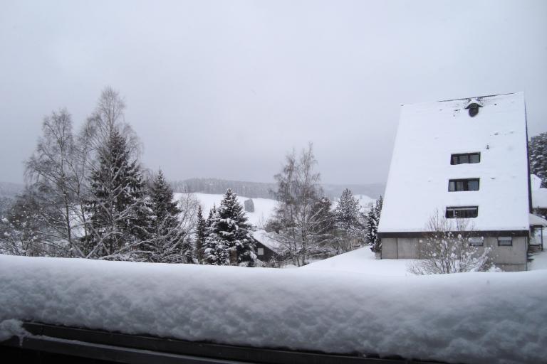DSC04996.JPG