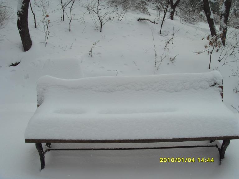SDC19077.JPG