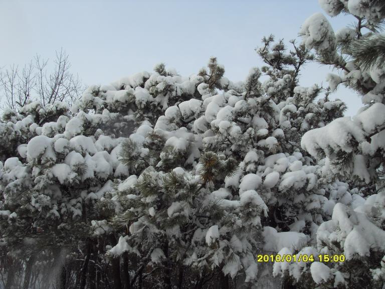 SDC19097.JPG