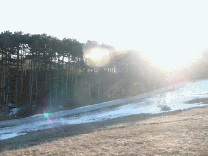 anigif spaziergang1.gif
