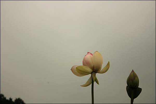 현충원127-20120713-143852.JPG