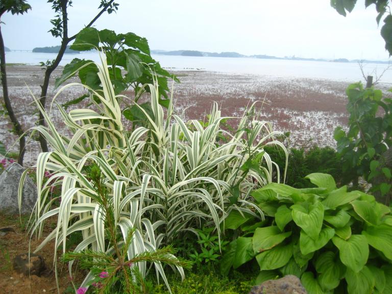 IMG_0364.JPG