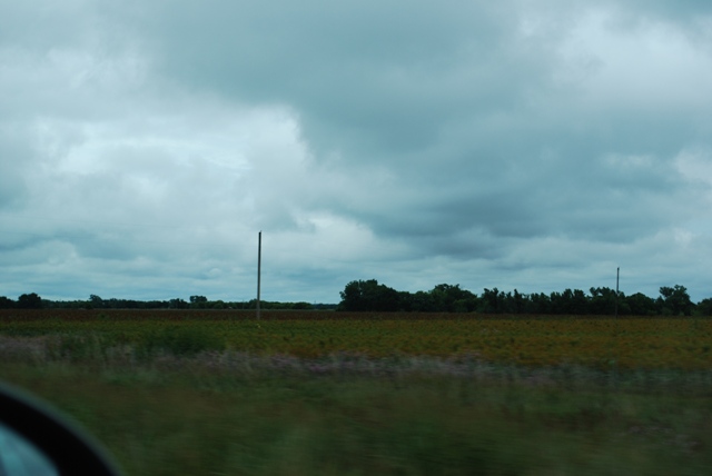 0067.jpg