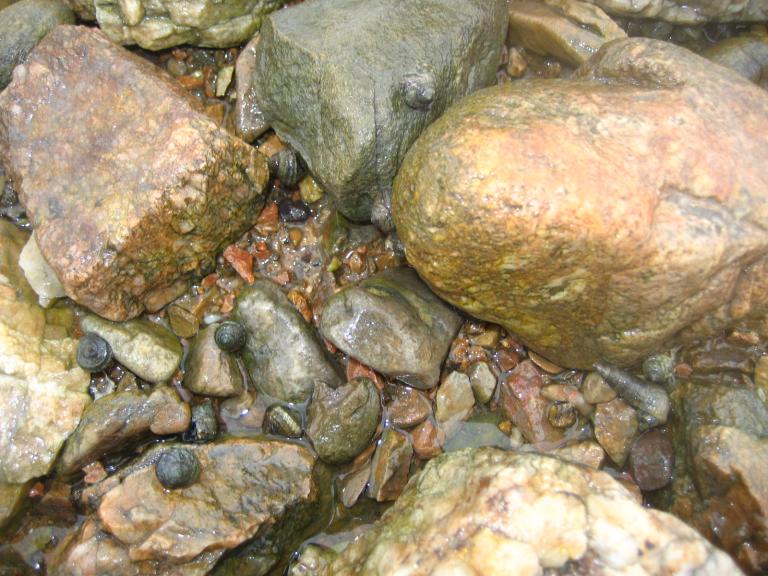 IMG_0372.JPG