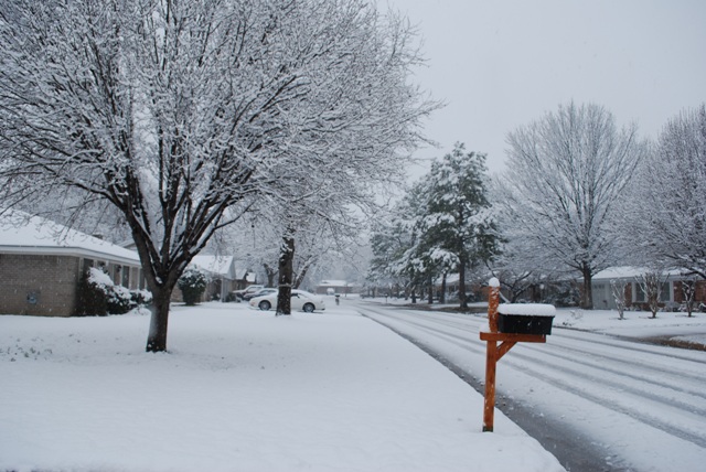 snow1.JPG