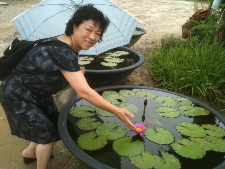 나리꽃 067.jpg