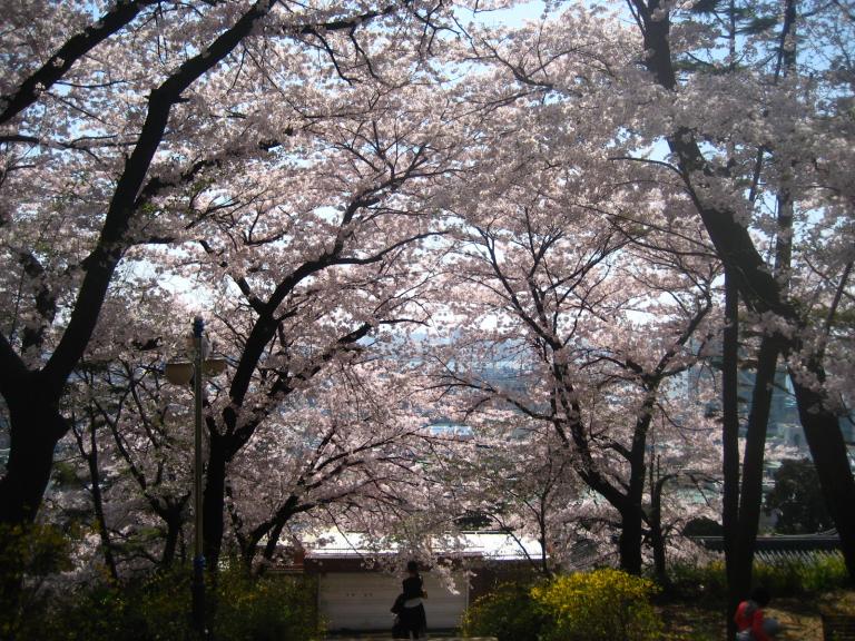 IMG_0050.JPG