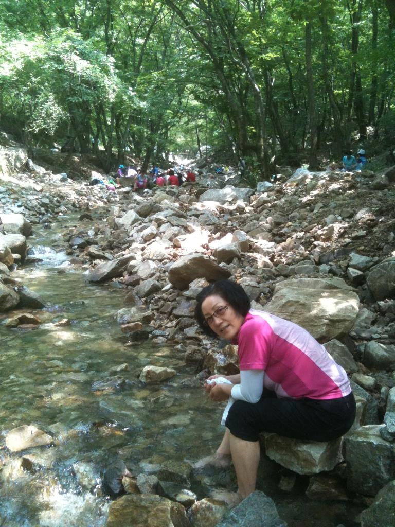 나리꽃 041.jpg