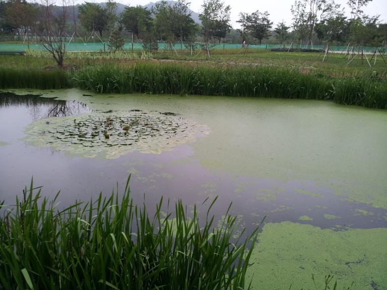 2012-07-04 18.39.35.jpg