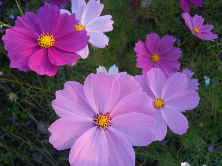2012-10-02 17.45.29.jpg