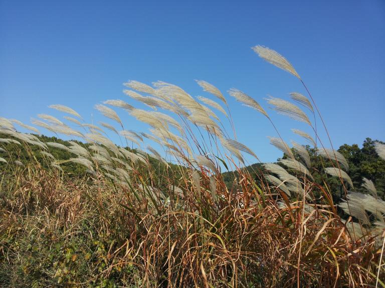 2013-10-22 13.21.09.jpg