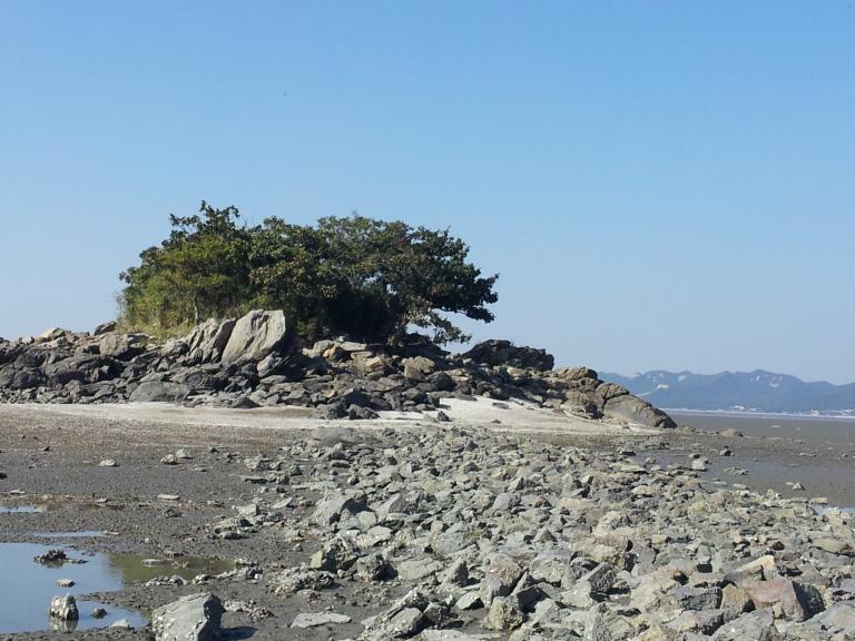 2013-10-22 14.01.32.jpg