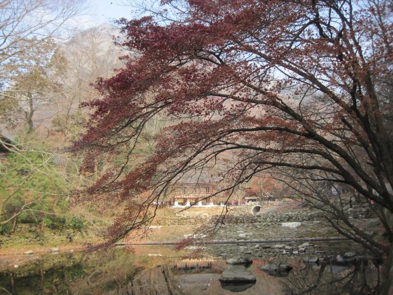 IMG_2537.jpg