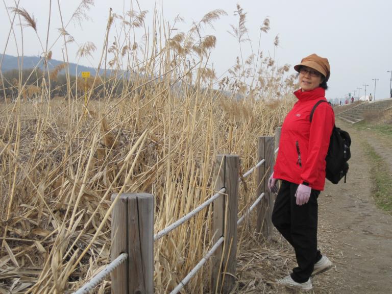 영동대교 035.jpg