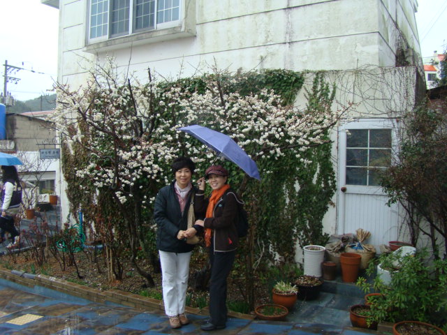 DSC06507.JPG