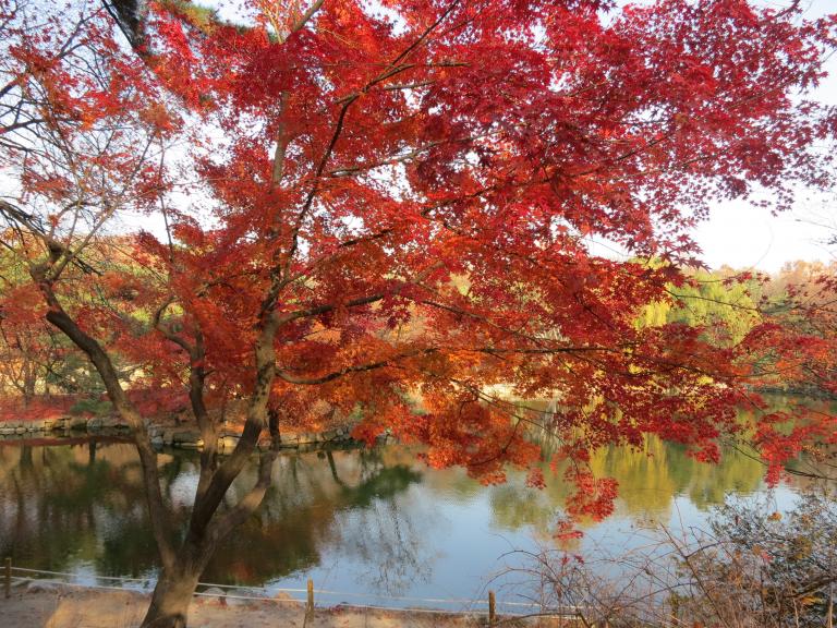IMG_4956.JPG