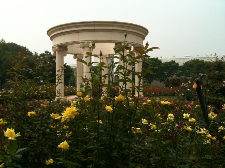 올림픽공원 장미원 035.jpg