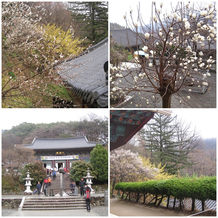 쌍계사.jpg