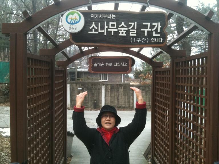 소나무길.jpg