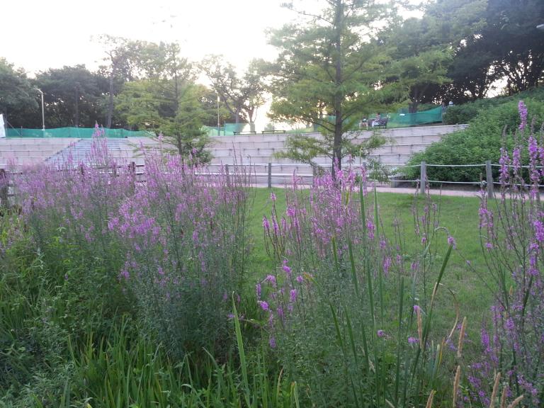 천리포 식물원 749.jpg
