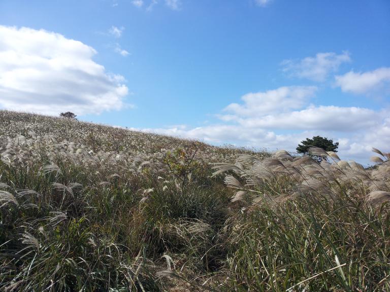 2013-11-13 10.03.53.jpg