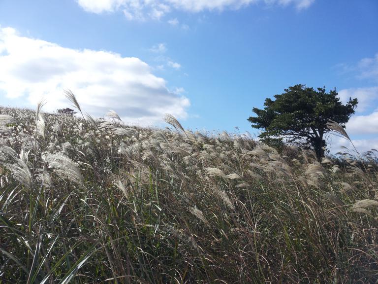2013-11-13 10.04.20.jpg