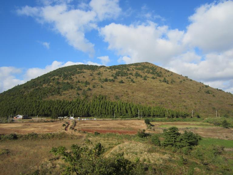IMG_7559.JPG