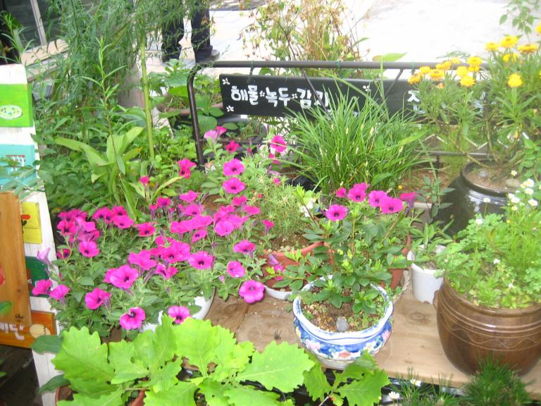 IMG_2698.JPG