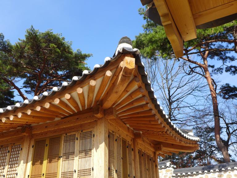 P1000317.JPG