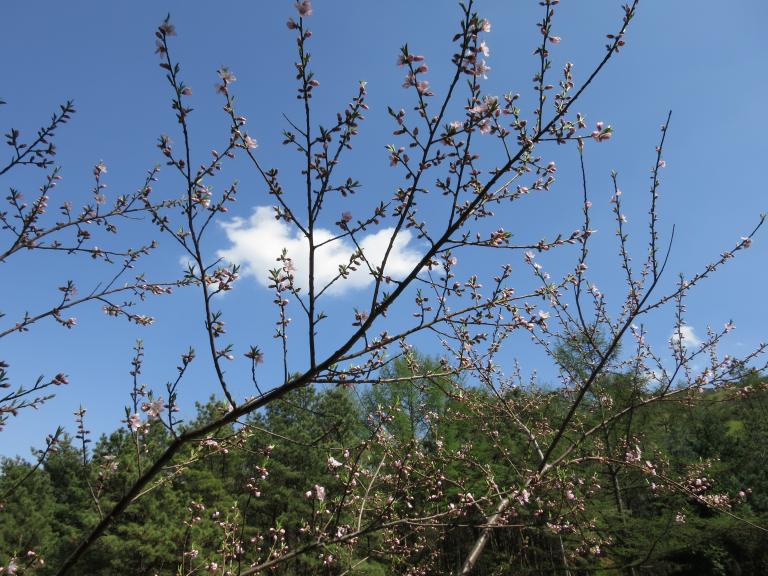 몽촌토성 061.jpg
