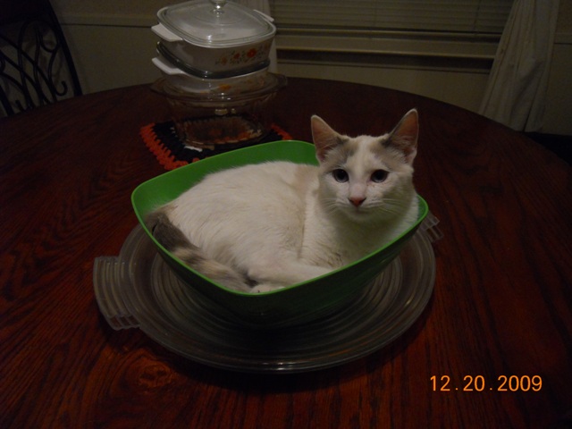 DSCN0228_WEB.JPG