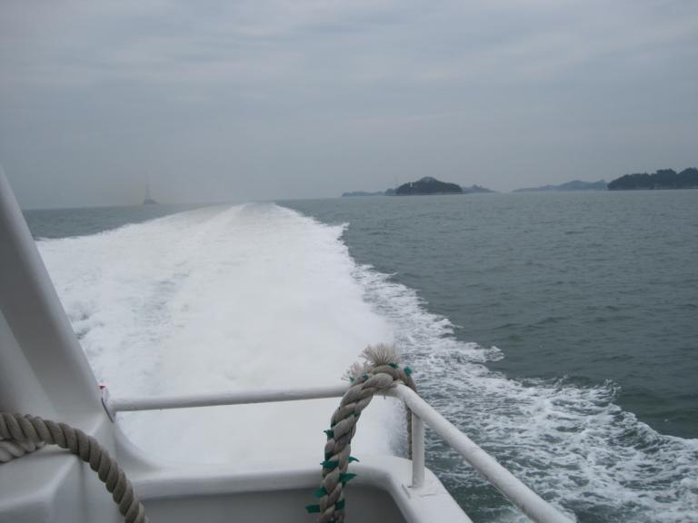 배.jpg