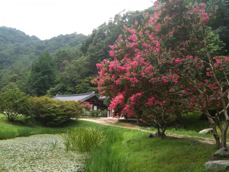 불영사와 주산지,주왕산 021.jpg