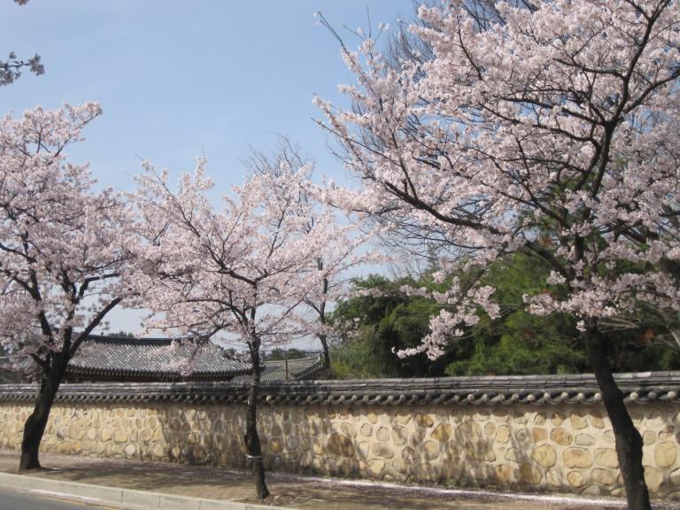 오릉.jpg