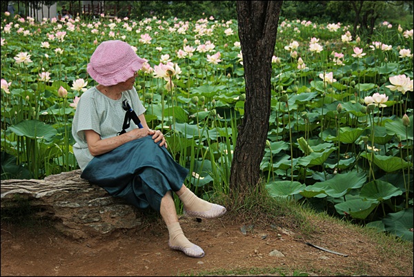 현충원063-20120702-131724.JPG