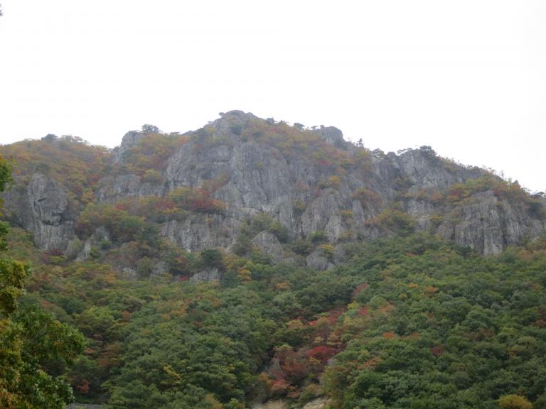 IMG_1175.JPG