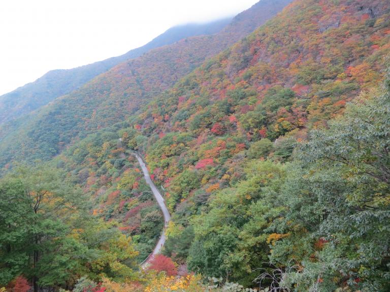 IMG_1189.JPG