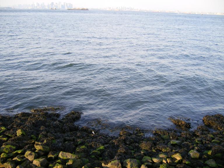 Picture 006.jpg
