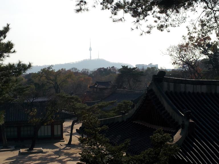 20121120_140436.jpg