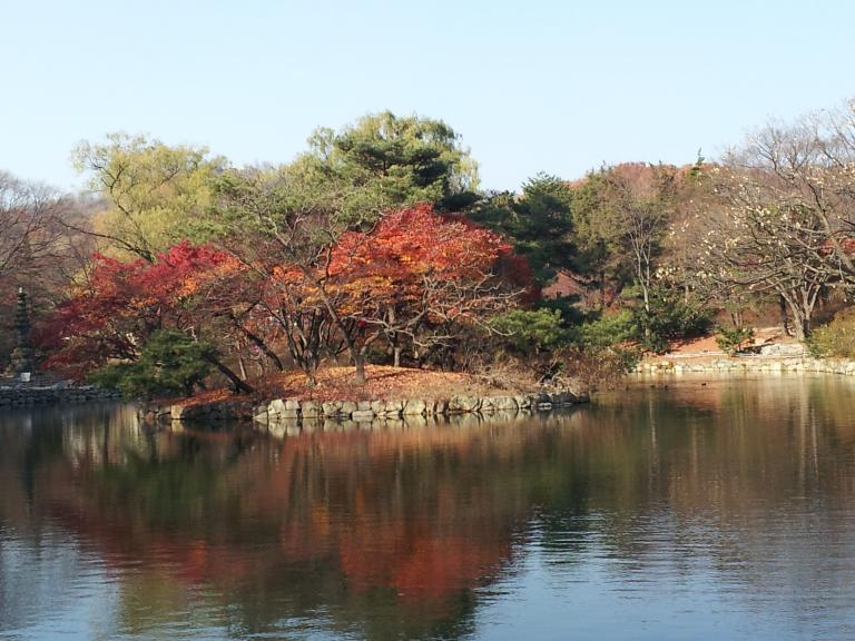 20121120_142029.jpg