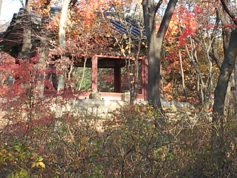 20121120_144236.jpg
