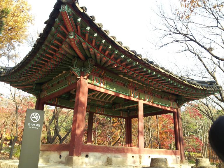 20121120_144358.jpg