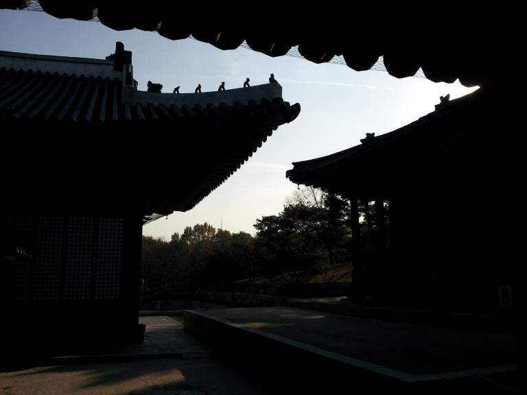 20121120_150247.jpg