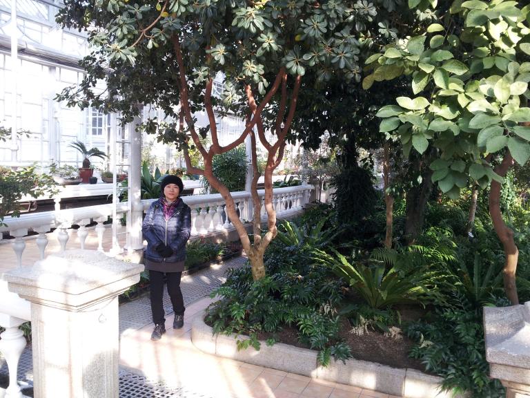 20121120_143500.jpg