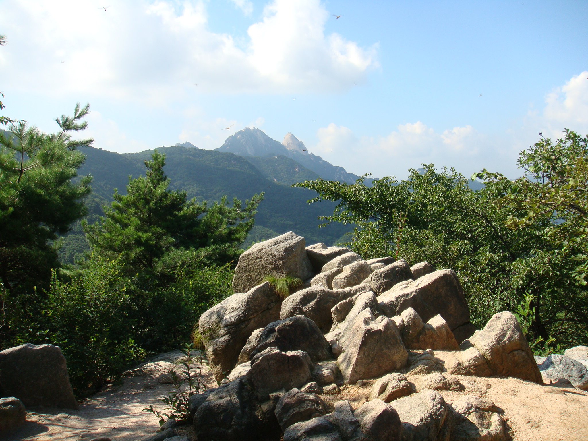 DSC00084.JPG