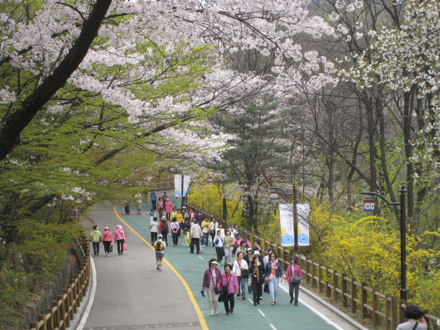크기변환_IMG_0802.JPG