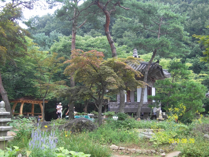 SDC12527.JPG